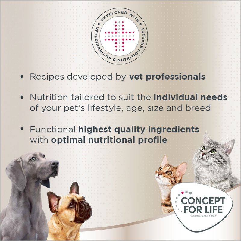 Concept for Life Labrador Retriever Adult || Concept for Life || view 12