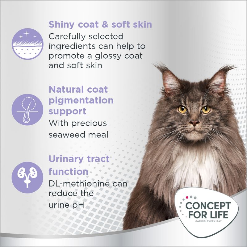 Shiny coat and soft skin, natural coat pigmentation support with seaweed meal, urinary tract function with DL-methionine. Concept for Life brand shown with a long-haired cat.
