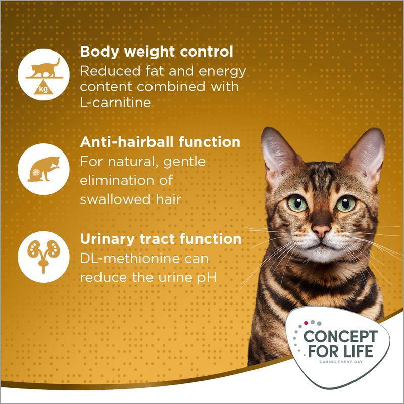 Concept for Life Indoor Cats || Concept for Life || view 6