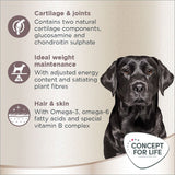 Concept for Life Labrador Retriever Adult || Concept for Life || view 4