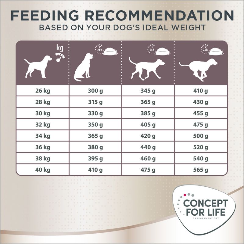 Concept for Life Labrador Retriever Adult || Concept for Life || view 8