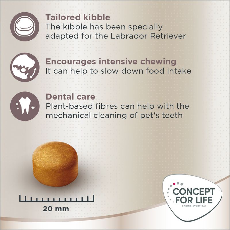 Concept for Life Labrador Retriever Adult || Concept for Life || view 5
