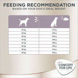 Concept for Life Labrador Sterilised || Concept for Life || view 8