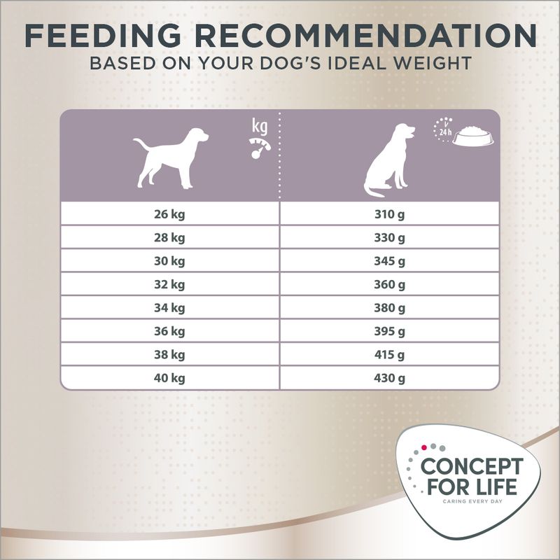 Concept for Life Labrador Sterilised || Concept for Life || view 8