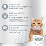 Concept for Life Oral Care || Concept for Life || view 4