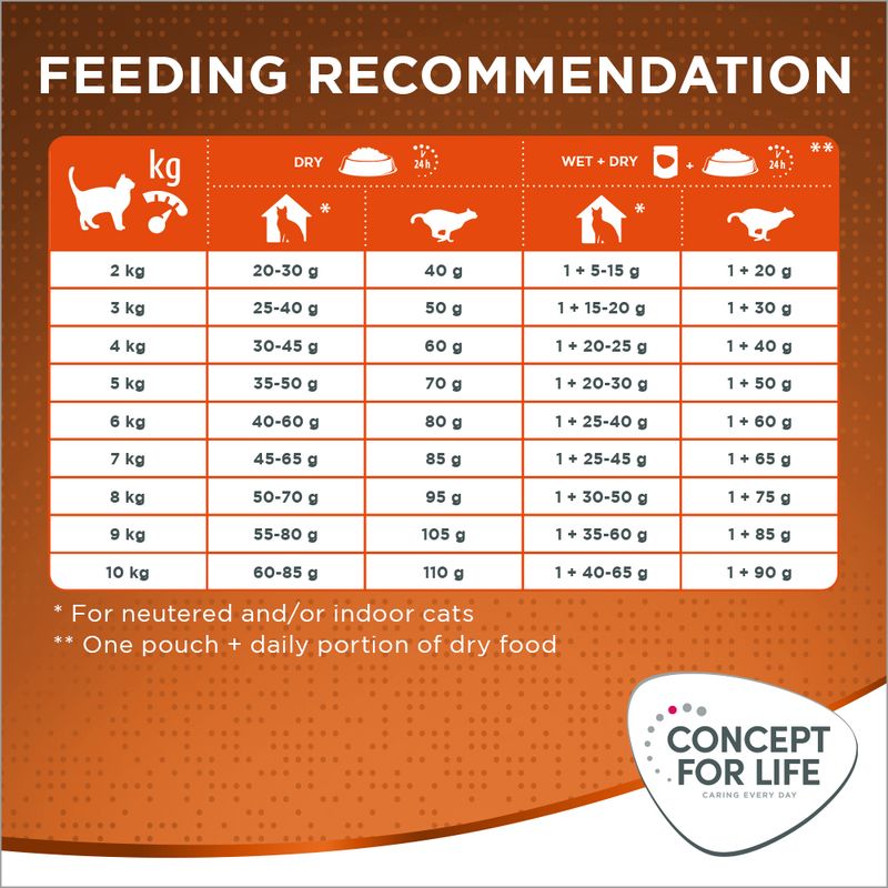 Concept for Life Outdoor Cats || undefined || view 8