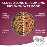 Image shows dry and wet food in a bowl with text: Serve alone or combine dry with wet food. Benefits listed are high energy supply, dental care, better hydration, balanced nutrition.