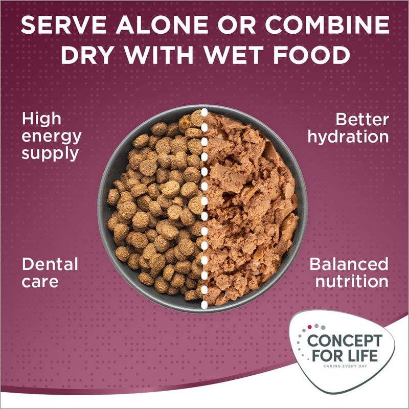Instructional image showing dry and wet food in a bowl, with benefits: high energy supply, dental care, better hydration, balanced nutrition. Text: serve alone or combine dry with wet food.