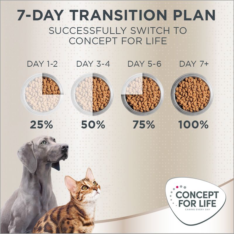 Concept for Life Golden Retriever Adult || Concept for Life || view 13