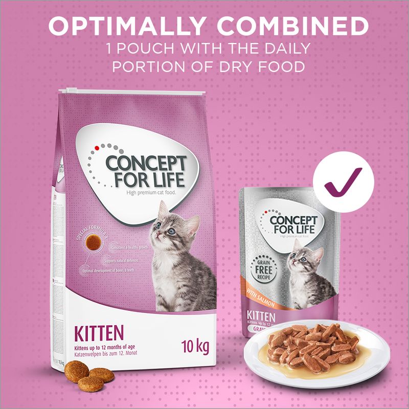 Concept for Life Kitten || Concept for Life || view 16
