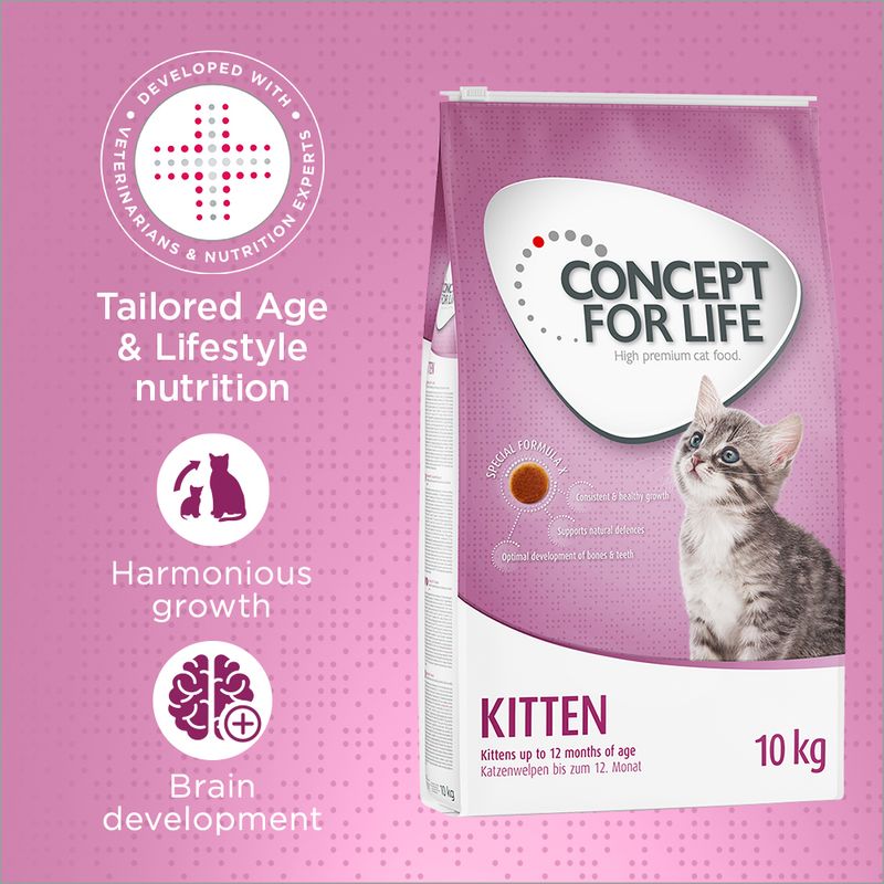 Concept for Life Kitten || Concept for Life || view 1