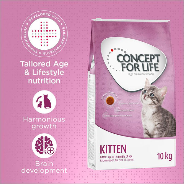 Concept for Life Kitten || Concept for Life || view 1