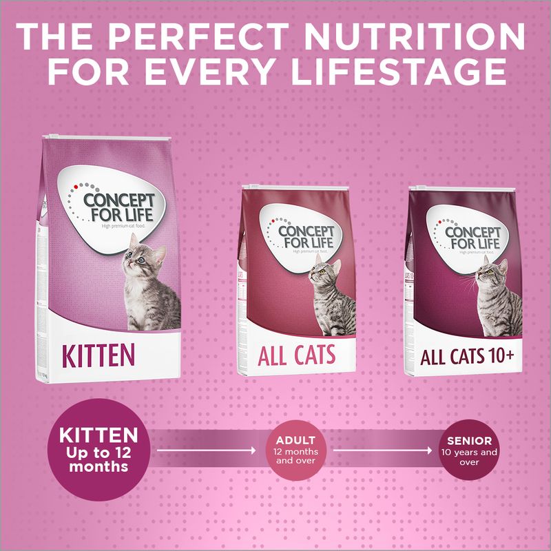 Concept for Life Kitten || Concept for Life || view 11