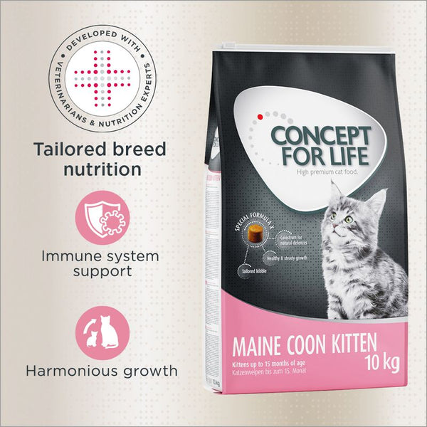 Concept for Life Maine Coon Kitten || Concept for Life || view 1