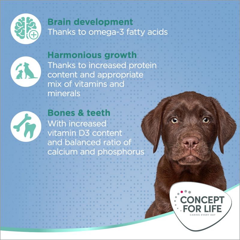 Concept for Life Large Puppy & Junior || Concept for Life || view 4