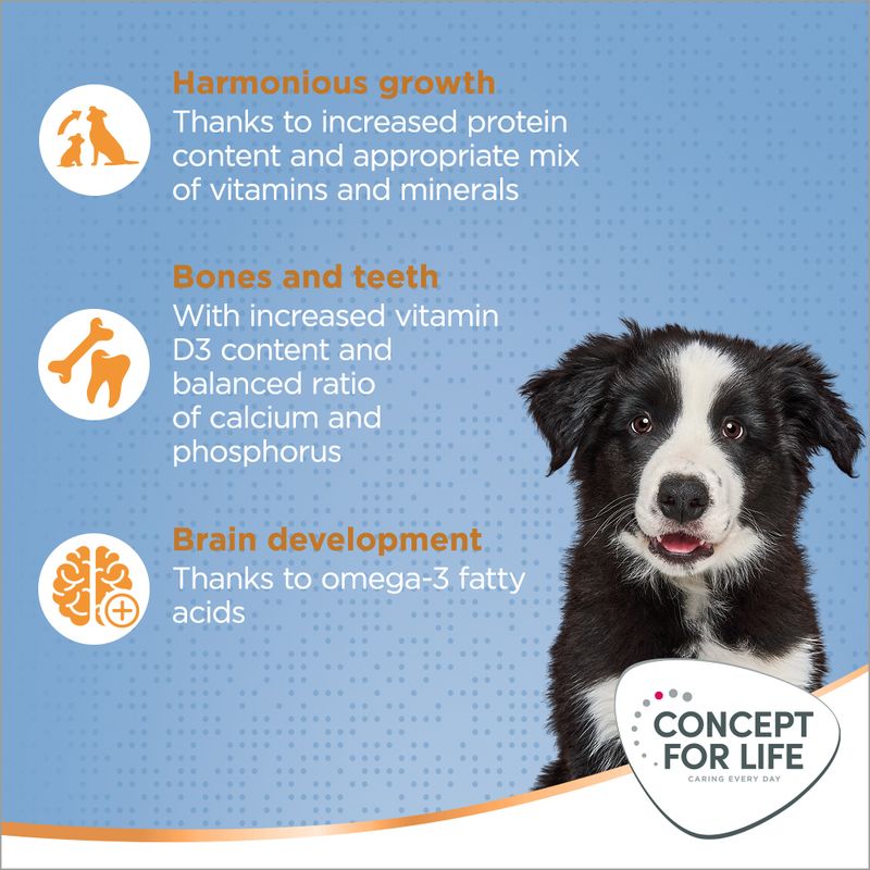 Concept for Life Medium Puppy & Junior || Concept for Life || view 5
