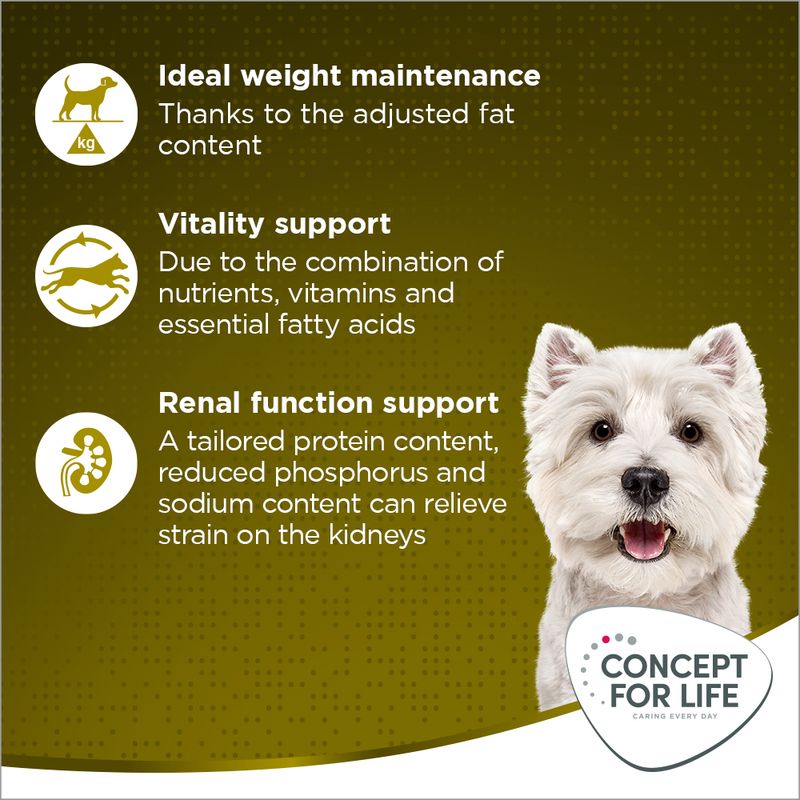 Concept for Life Mini Senior || Concept for Life || view 3