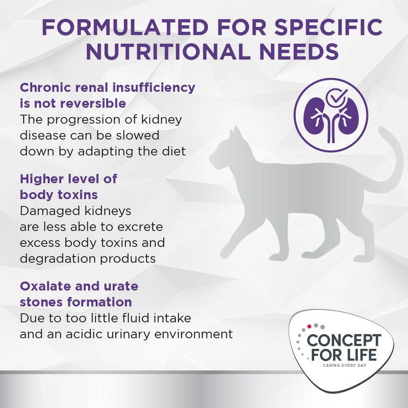 Concept for Life Veterinary Diet Renal with Chicken || undefined || view 3