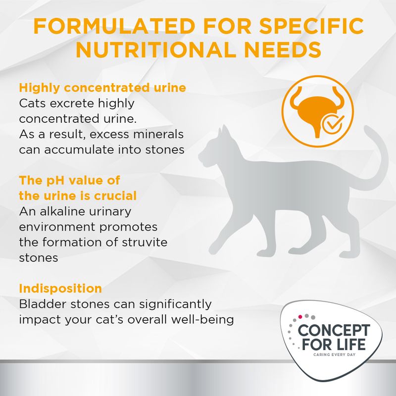 Concept for Life Veterinary Diet Urinary - Beef || undefined || view 3