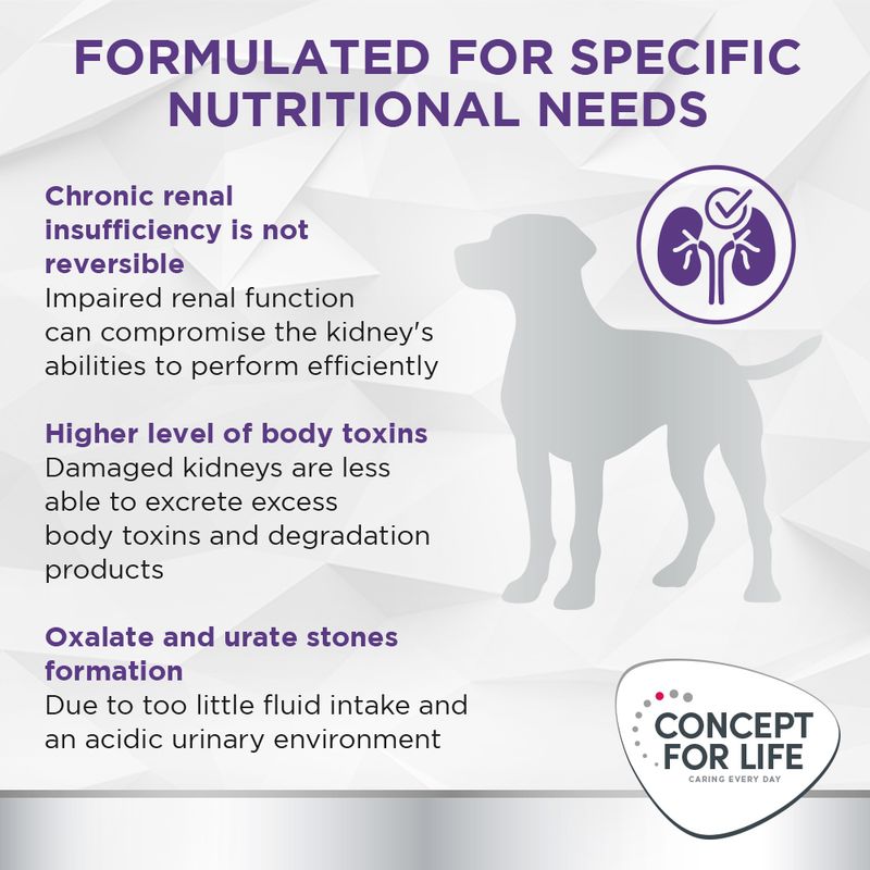 Concept for Life Veterinary Diet Renal || undefined || view 3