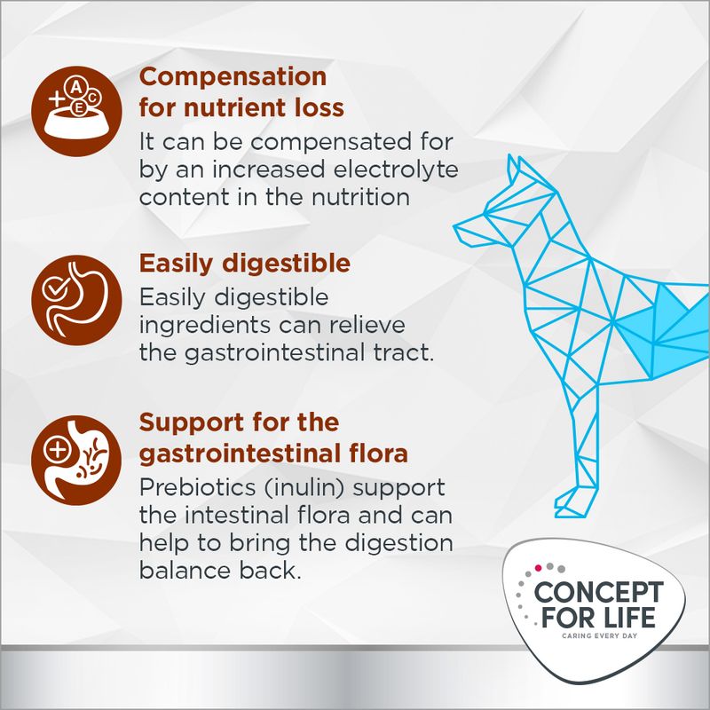 Concept for Life Veterinary Diet Gastrointestinal || undefined || view 4