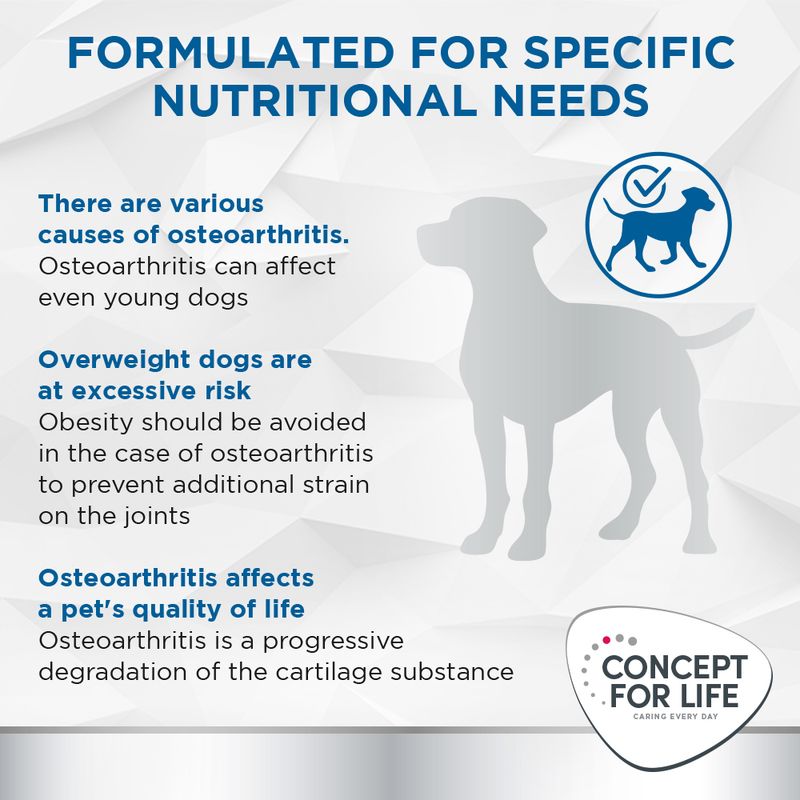 Concept for Life Veterinary Diet Dog Mobility || undefined || view 4