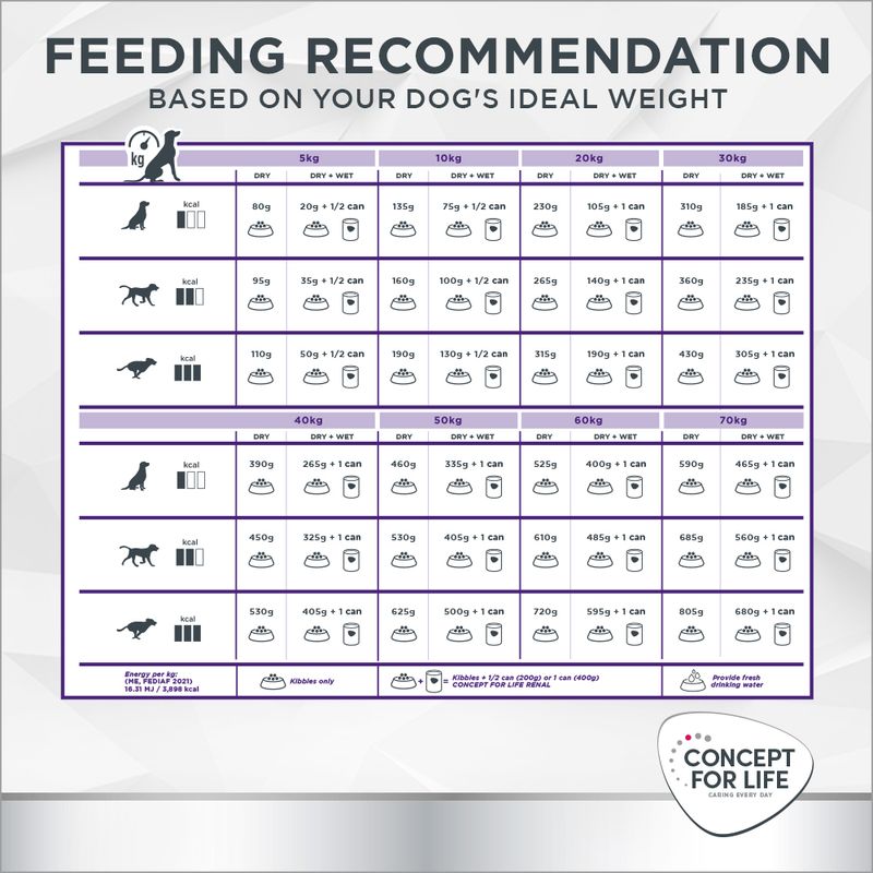 Concept for Life Veterinary Diet Dog Renal || undefined || view 9