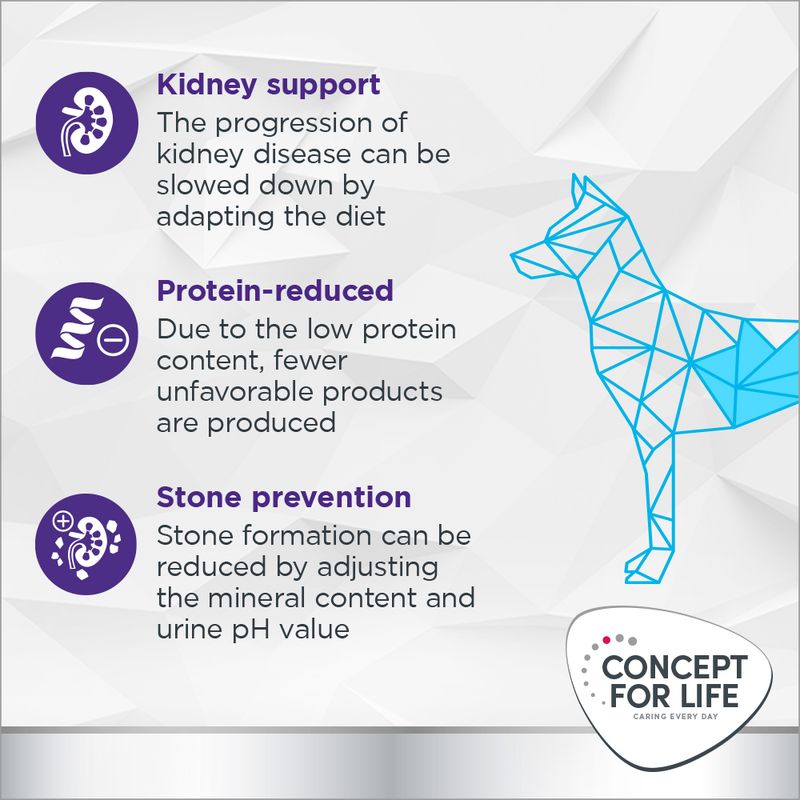 Concept for Life Veterinary Diet Dog Renal || undefined || view 5
