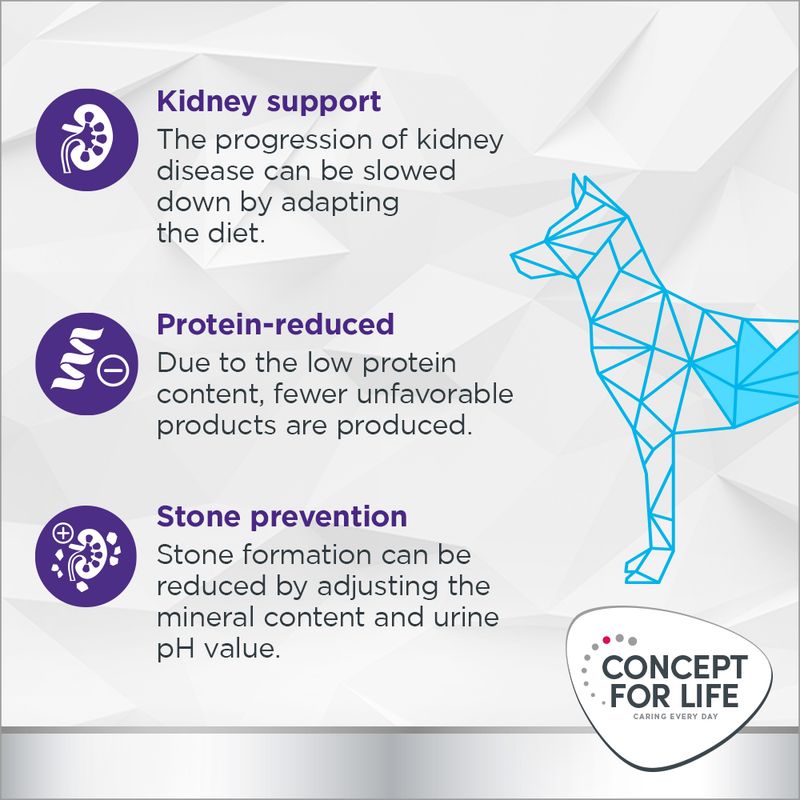 Concept for Life Veterinary Diet Renal || undefined || view 4