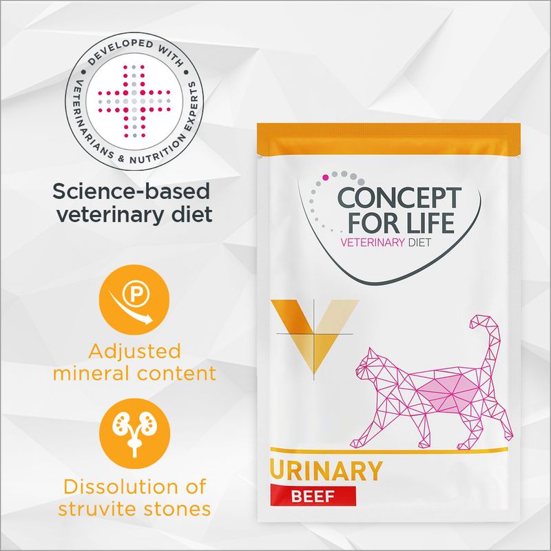 Concept for Life Veterinary Diet Urinary - Beef || undefined || view 1