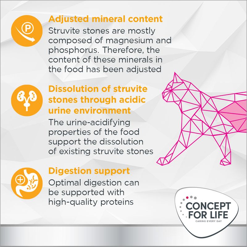 Concept for Life Veterinary Diet Urinary || undefined || view 6