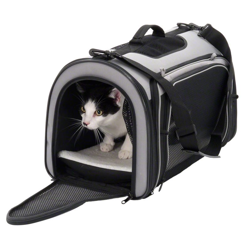 Transport bag with mesh windows and carrying strap, black-grey, open with a cat inside on a white cushion.