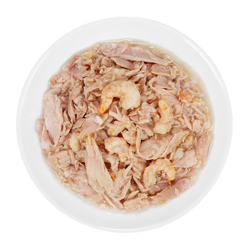 Close-up of shredded chicken and shrimp in sauce, served on a white plate.