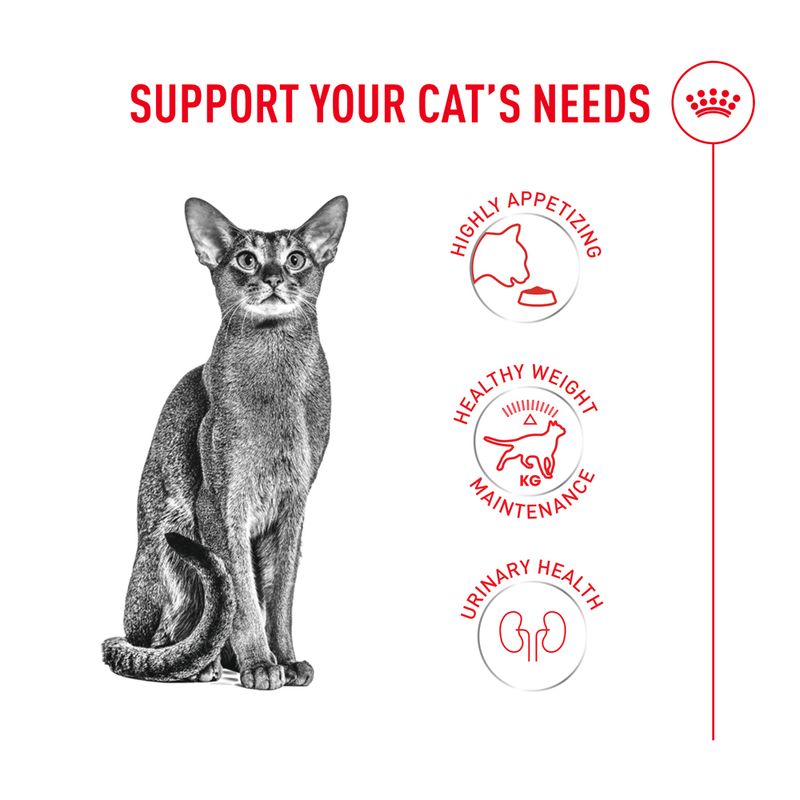Royal Canin Fussy Exigent