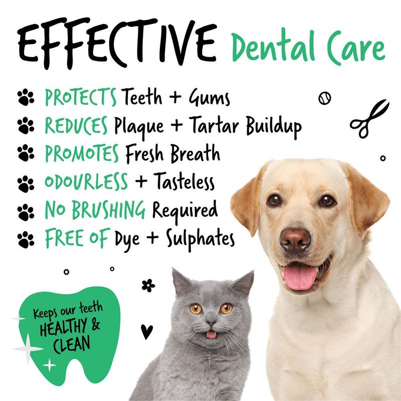 Effective dental care: protects teeth and gums, reduces plaque and tartar, promotes fresh breath, odourless and tasteless, no brushing needed, free of dye and sulphates.