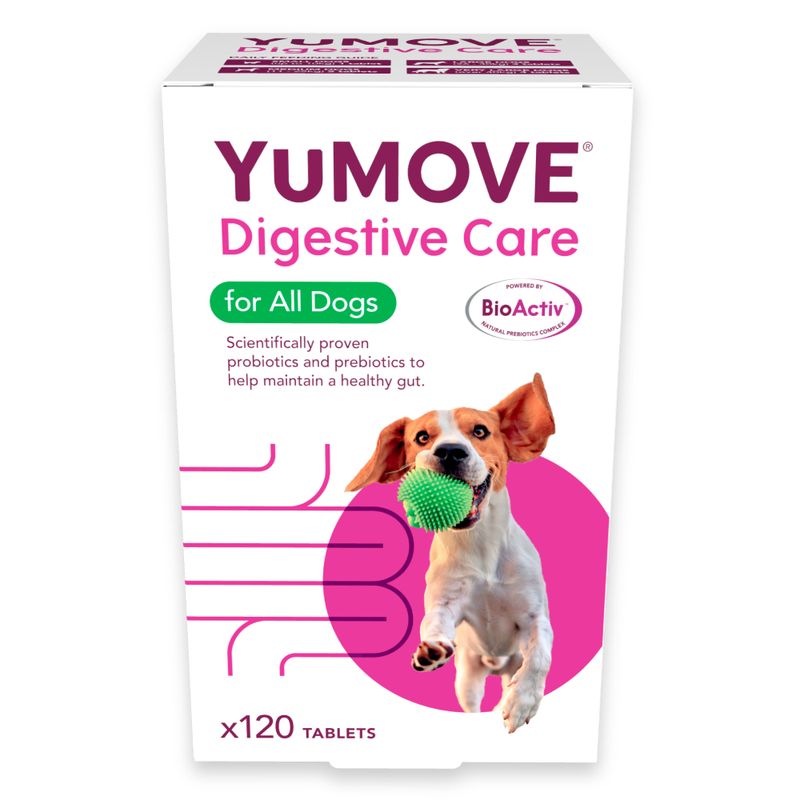 YuMOVE Digestive Care for all dogs, 120 tablets. Contains scientifically proven probiotics and prebiotics to help maintain a healthy gut. Powered by BioActiv.