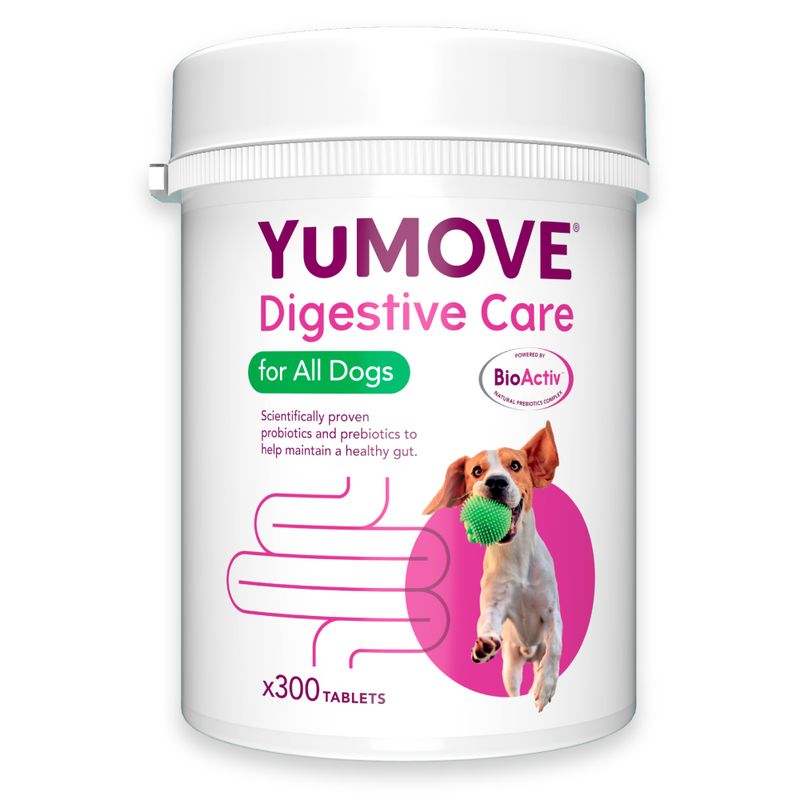 YuMOVE Digestive Care for all dogs, 300 tablets. Contains scientifically proven probiotics and prebiotics to help maintain a healthy gut. Powered by BioActiv.
