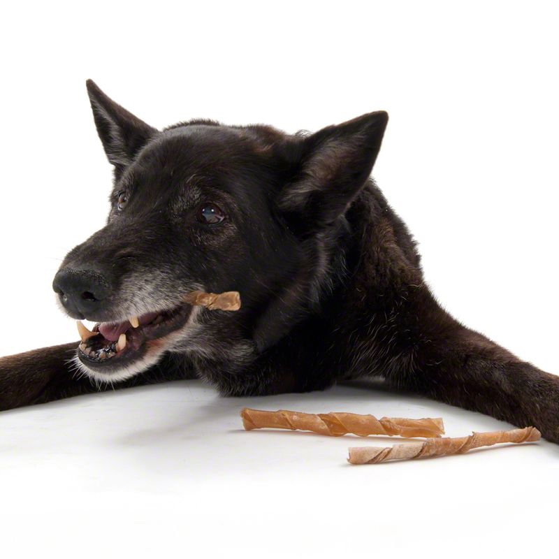 Black dog chewing on a twisted chew snack, two more snacks lying next to it.