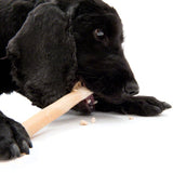 Black dog chewing on a chew bone. Product use is demonstrated.