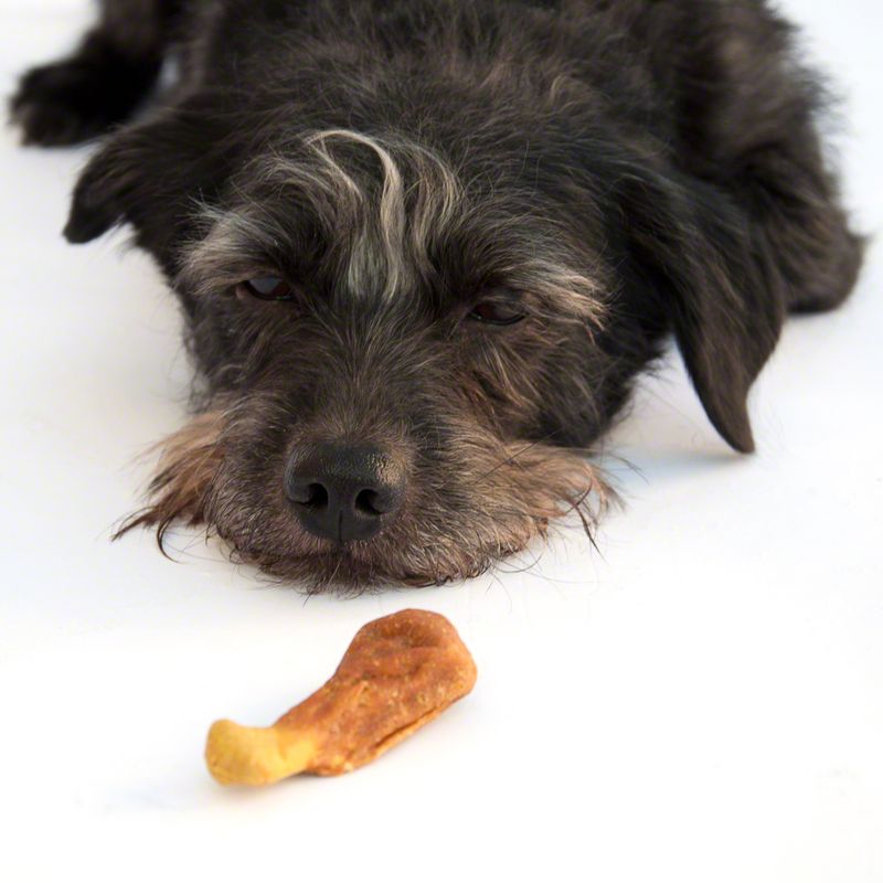 Trixie Premio Chicken Drumsticks Light || Trixie || view 6