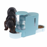 Food and water dispenser in blue with integrated bowl, filled with dry food. Dog drinking from the water bowl.