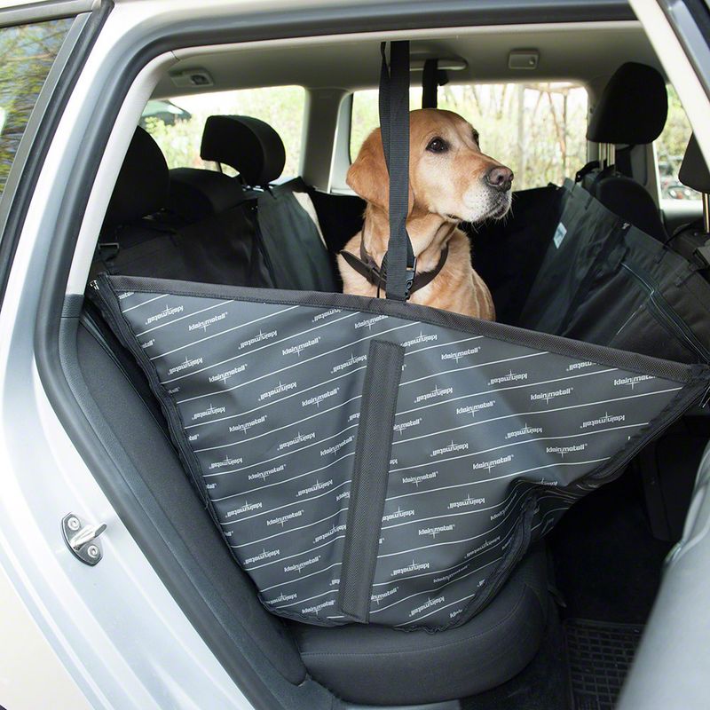 Dog sitting on a black car seat cover with safety belt, suitable for the back seat. Seat cover protects seats from dirt and pet hair.