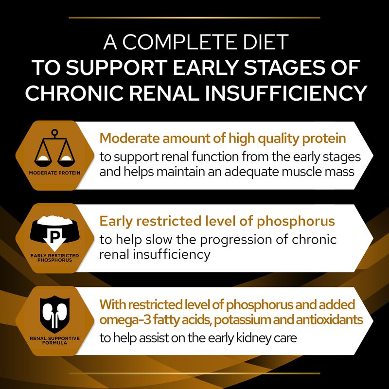 Complete diet for early chronic renal insufficiency: moderate high quality protein, early restricted phosphorus, and added omega-3 fatty acids, potassium, antioxidants for kidney support.