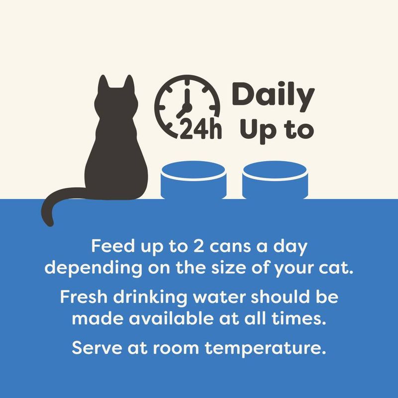 Applaws Adult Cat Cans Tuna/Fish in Broth 70g || undefined || view 45