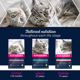 Eukanuba Healthy Start Kitten || undefined || view 6