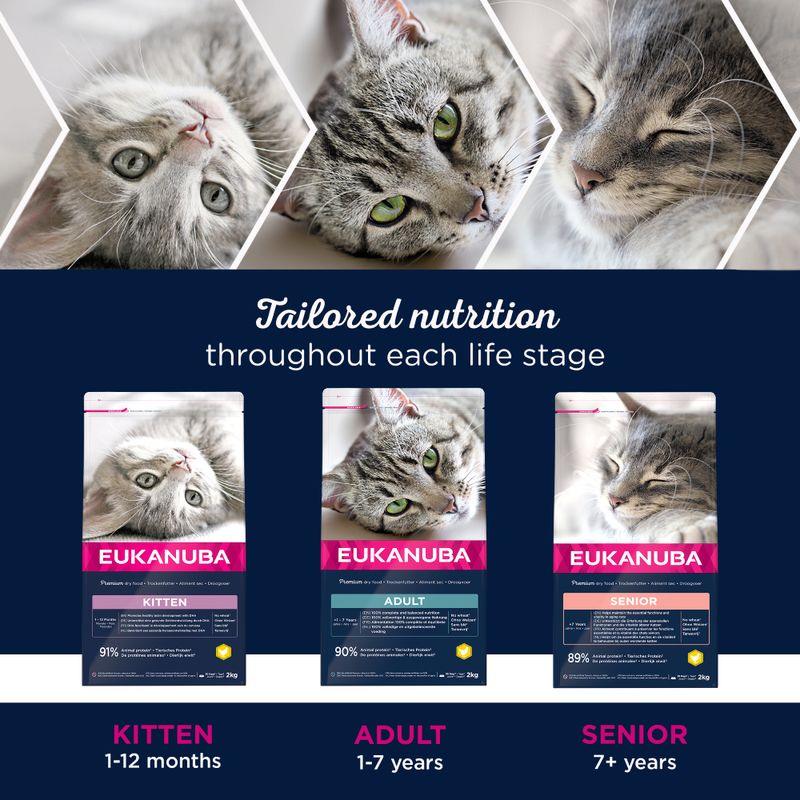 Eukanuba Healthy Start Kitten || undefined || view 6