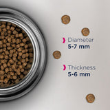 Eukanuba Healthy Start Kitten || undefined || view 4