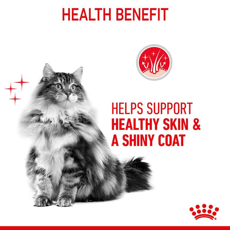 Health benefit image showing a cat with text: Helps support healthy skin and a shiny coat.