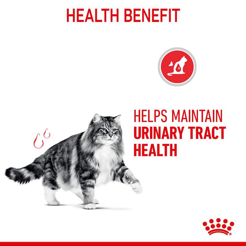 Royal Canin Urinary Care || Royal Canin Care Nutrition || view 4