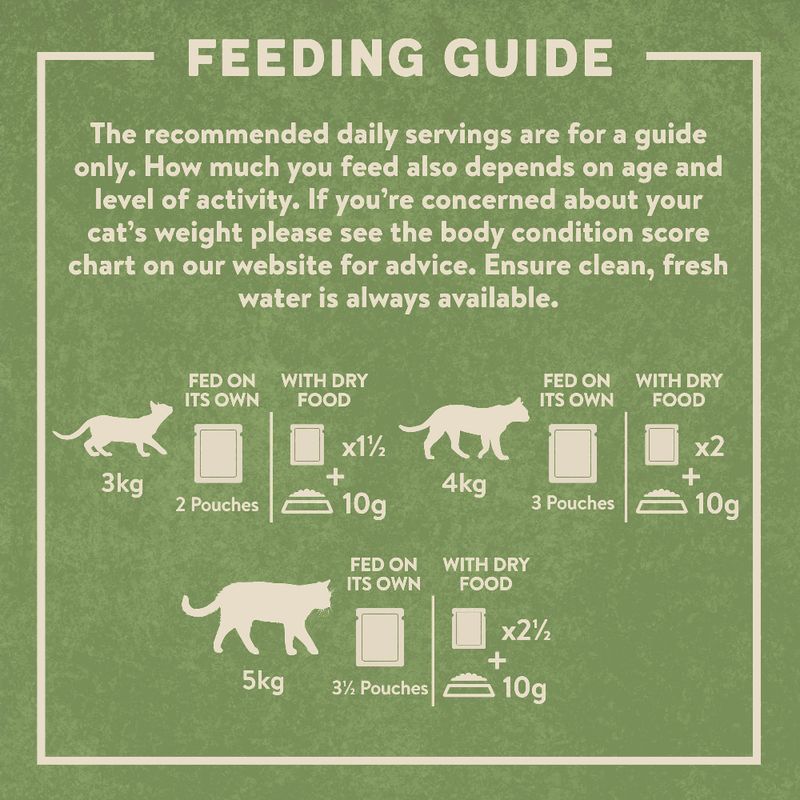 Harringtons Complete Grain-free Adult Cat – Fish Selection in Jelly || Harringtons || view 5